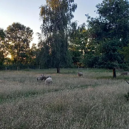 Gîte cocooning au cœur de la nature Cabariot Extérieur photo